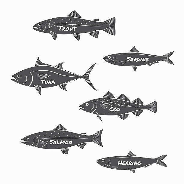 ~세트 고기잡이 실루엣 백색 배경 위. - tuna silhouette fish saltwater fish stock illustrations