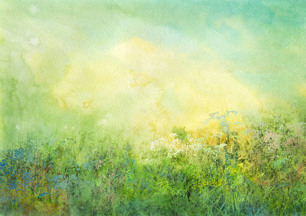 초원, 수채화 배경 - landscape flower meadow green stock illustrations