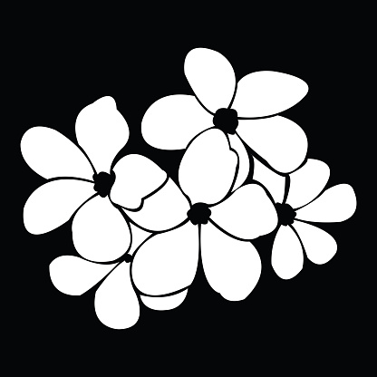 frangipani silhouettes for design vector