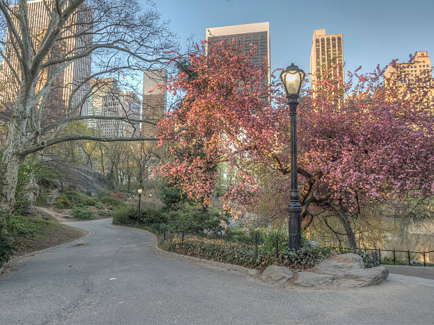 istock Central Park, New York City spring 538032340