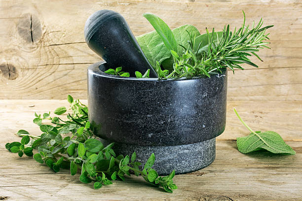 istock fresh mediterranean herbs, oregano, rosemary and sage in a mortar 538033214