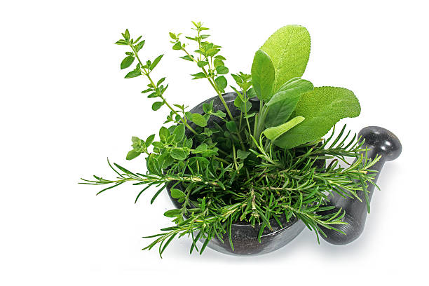 istock Mediterranean herbs in a mortar isolated on white, from above 538033514