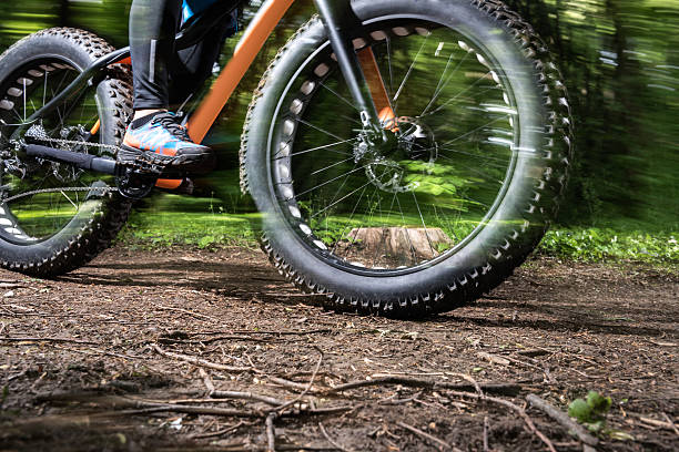 Bicycle rubber before and after cleaning. Tire care concept