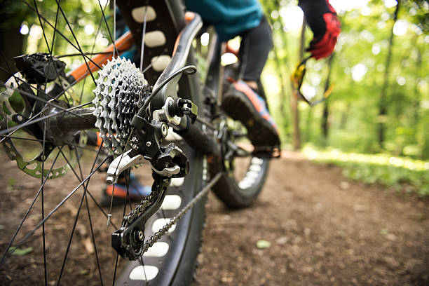 istock Gearshift mechanism on fat bike 538034240
