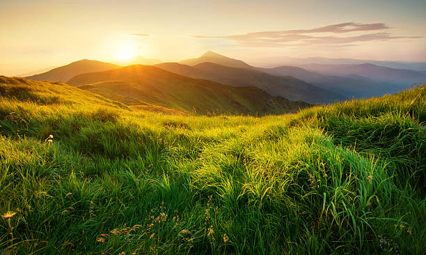 山の風景 - mountain sunset heaven flower ストックフォトと画像