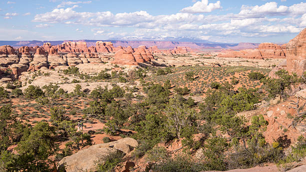istock Hikers, Elephant Hill/Chesler Park Trail, Canyonlands, UT 538036662
