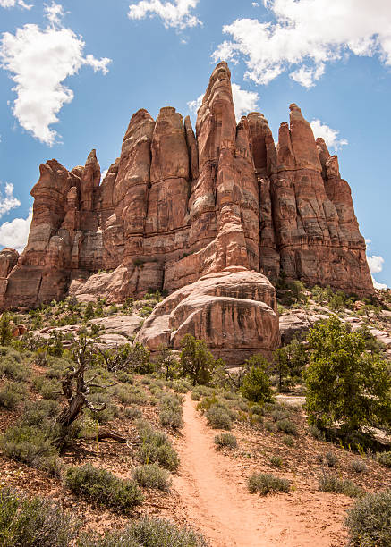 istock Fins, Elephant Hill/Chesler Park Trail, Canyonlands, UT 538036718