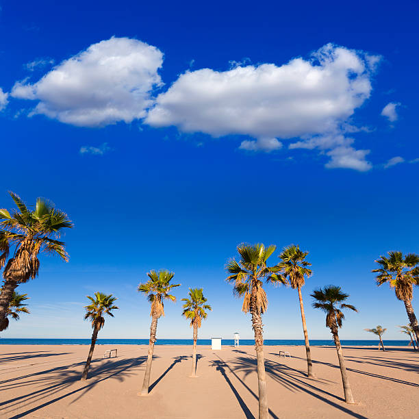istock Gandia beach in Valencia at Mediterranean Spain 538036845