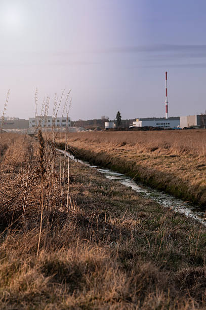 małe river  - lag zdjęcia i obrazy z banku zdjęć