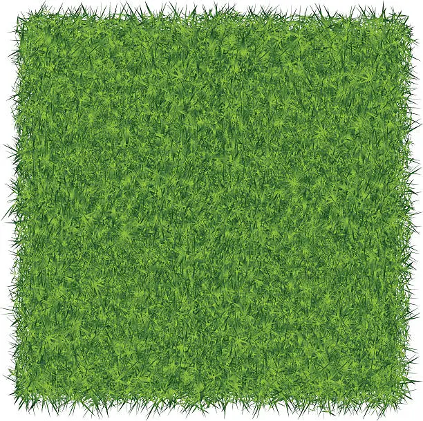 Vector illustration of Green Grass Background