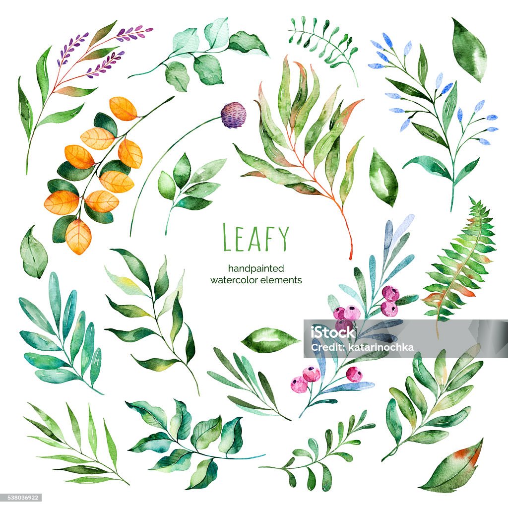 Leafy collection.22 Handpainted watercolor floral elements.Watercolor leaves, branches Leafy collection.22 Handpainted watercolor floral elements.Watercolor leaves, branches,berries,foliage.Perfect for you unique projects,template,wedding invitations,greeting cards,graphic,quotes,poster Watercolor Painting stock illustration