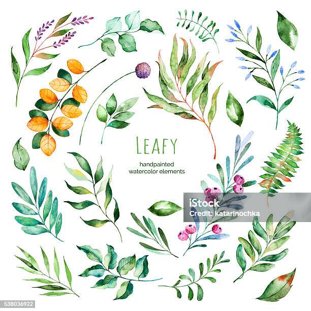 Leafy Collection22 Handpainted Watercolor Floral Elementswatercolor Leaves Branches Stock Illustration - Download Image Now