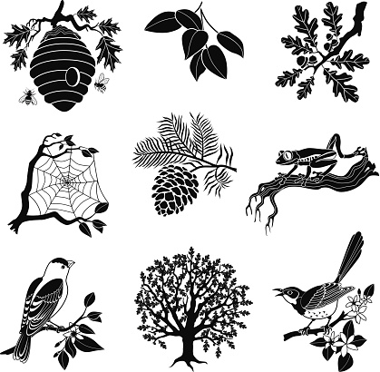 A vector illustration of a forest wildlife icon set in black and white. An EPS file and a large jpg are included in this download.