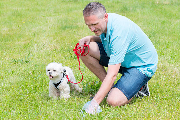 istock Picking up dog poop 538037222