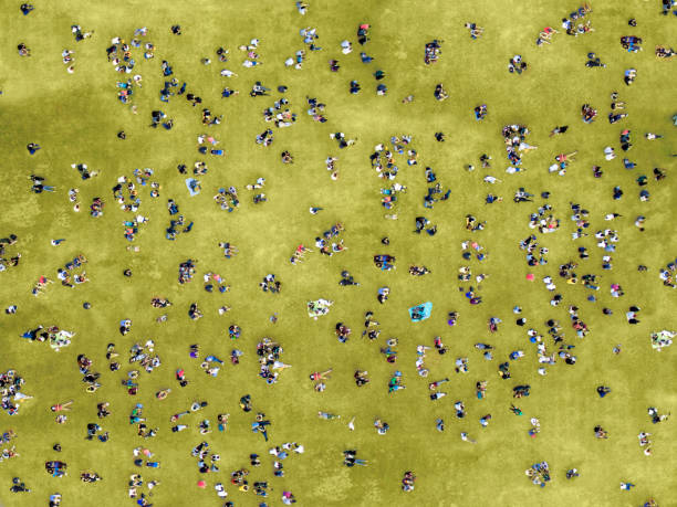 personnes prenant un bain de soleil de central park - personne secondaire photos et images de collection