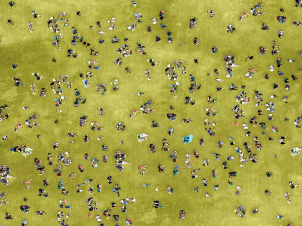 Aerial view of people sunbathing in Central Park, New York City.