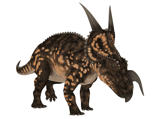 Illustration of an Einiosaurus stock photo