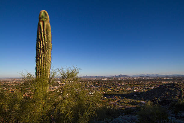 istock Panorama of the Phoenix Valley, USA 538039511