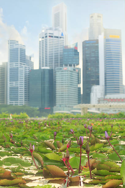 istock View of central Singapore 538041930