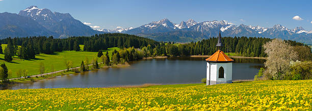 panorama-landschaft in bayern - european alps germany landscaped spring stock-fotos und bilder