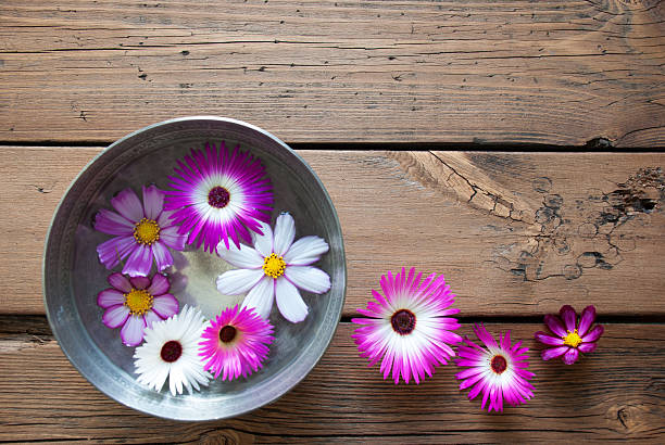 istock Silver Bowl With Cosmea Blossoms And Copy Space 538042317
