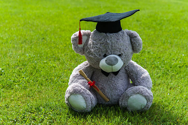 istock Teddy bear graduate bachelor's degree. 538043862