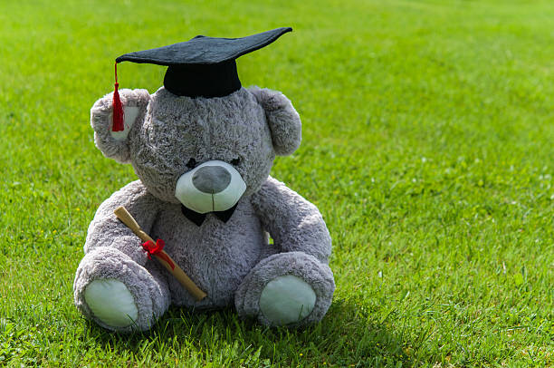 istock Teddy bear graduate bachelor's degree. 538043940