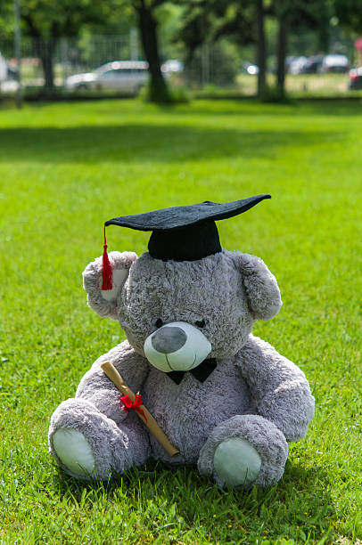 istock Teddy bear graduate bachelor's degree. 538044042