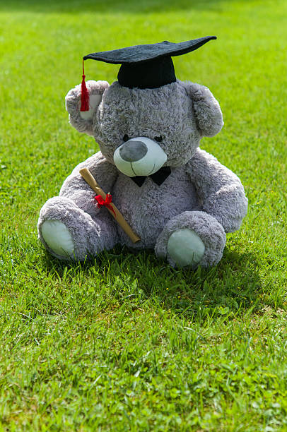 istock Teddy bear graduate bachelor's degree. 538044126