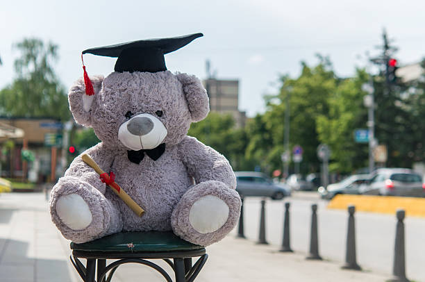 istock Teddy bear graduate bachelor's degree. 538044192