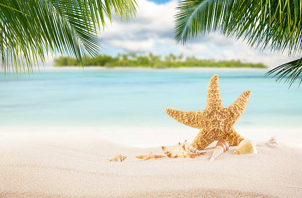 istock Sandy tropical beach with island on background 538045702