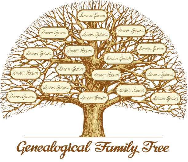 jahrgang und der genealogischen family tree. handgezeichnet skizze vektor-illustration - stammbaum stock-grafiken, -clipart, -cartoons und -symbole