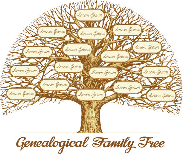 Vintage Genealogical Family Tree. Hand drawn sketch vector illustration Vintage Genealogical Family Tree. Hand drawn sketch vector illustration pics of family tree chart stock illustrations