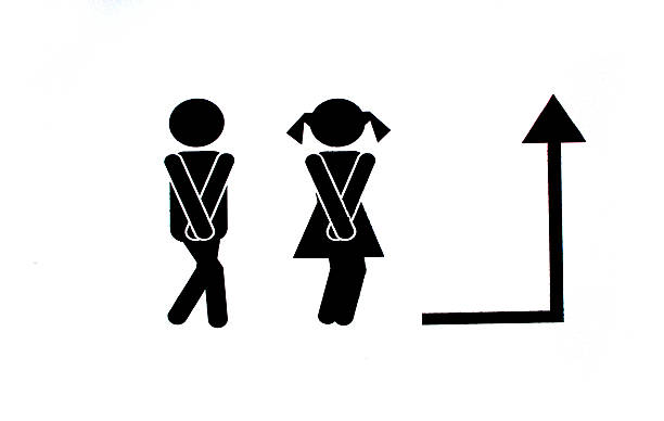 istock Toilet sign on white background. 538048526