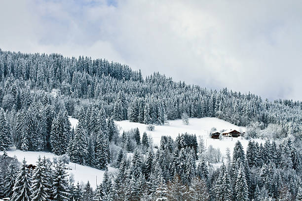 french Alps, winter landscape, wooden houses and snowy forest in mountains