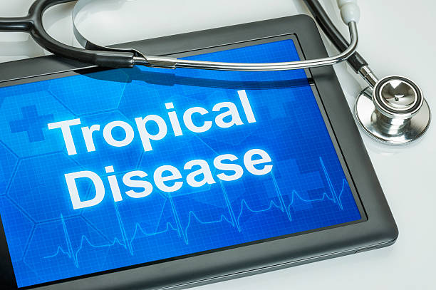 istock Tablet with the text Tropical Disease on the display 538052690