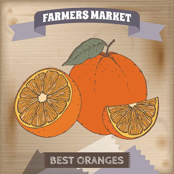 Vector illustration of Farmer market label with fresh oranges color sketch.