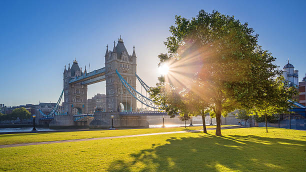 istock London, UK - Iconic Tower Bridge at sunrise 538059870