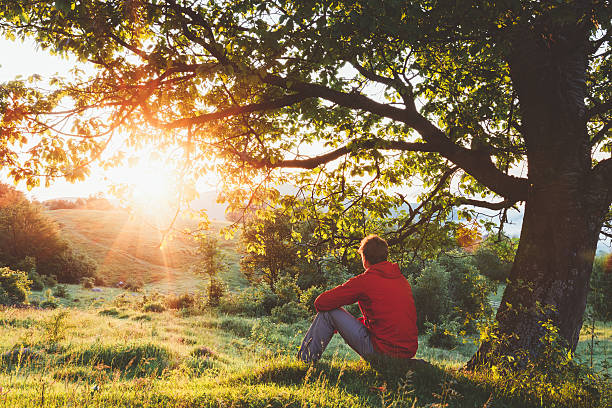 Man sitting under a tree and admiring the sunrise