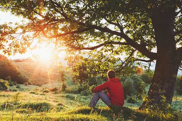 Photo of Man sitting under a tree and admiring the sunrise
