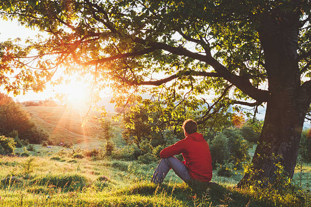 homem sentado em uma árvore e admirar o nascer do sol - landscape tree field solitude imagens e fotografias de stock