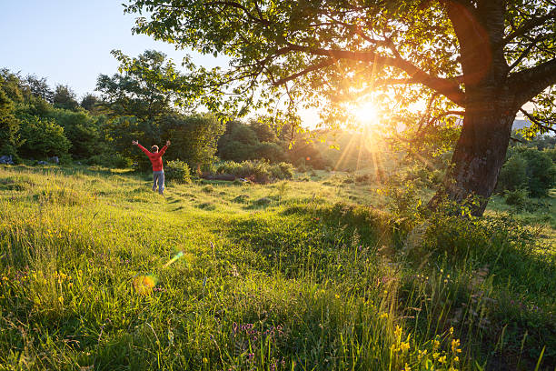 istock Man with hands spread out enjoying the sunrise outdoors 538064363