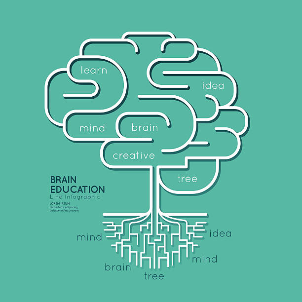 Flat linear Infographic Education Outline Brain Roots Concept. Flat linear Infographic Education Outline Brain Roots Concept.Vector Illustration. tree with light bulb roots stock illustrations