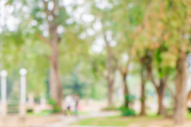 istock Blurred young couple walking in the park 538064669