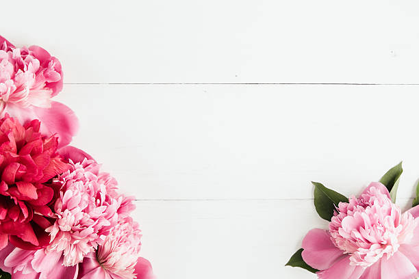 Summer floral frame with pink peonies