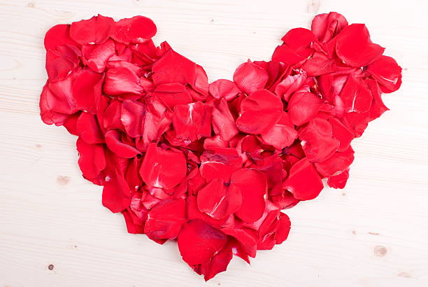 istock rose with red petals with hearts for Valentine's Day 538067205