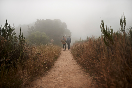 Rearview shot of two young men walking along a nature trail in misty weather