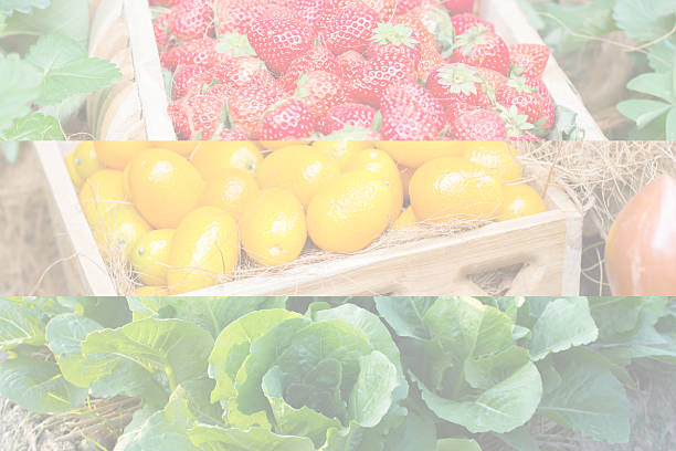 istock Butterhead Lettuce,kumquat,str awberry 538069493