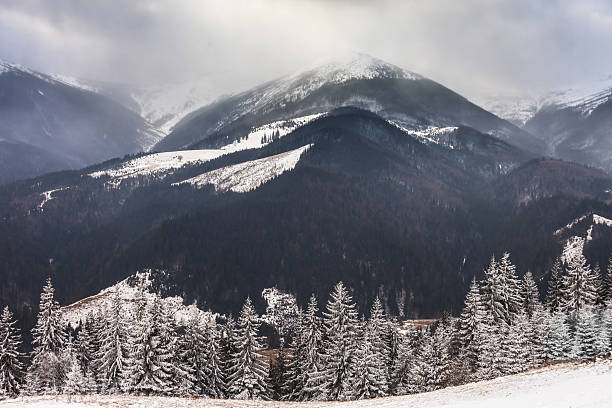 istock Beautiful winter landscape with snow covered trees 538083829
