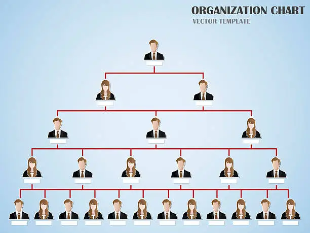 Vector illustration of Organization board